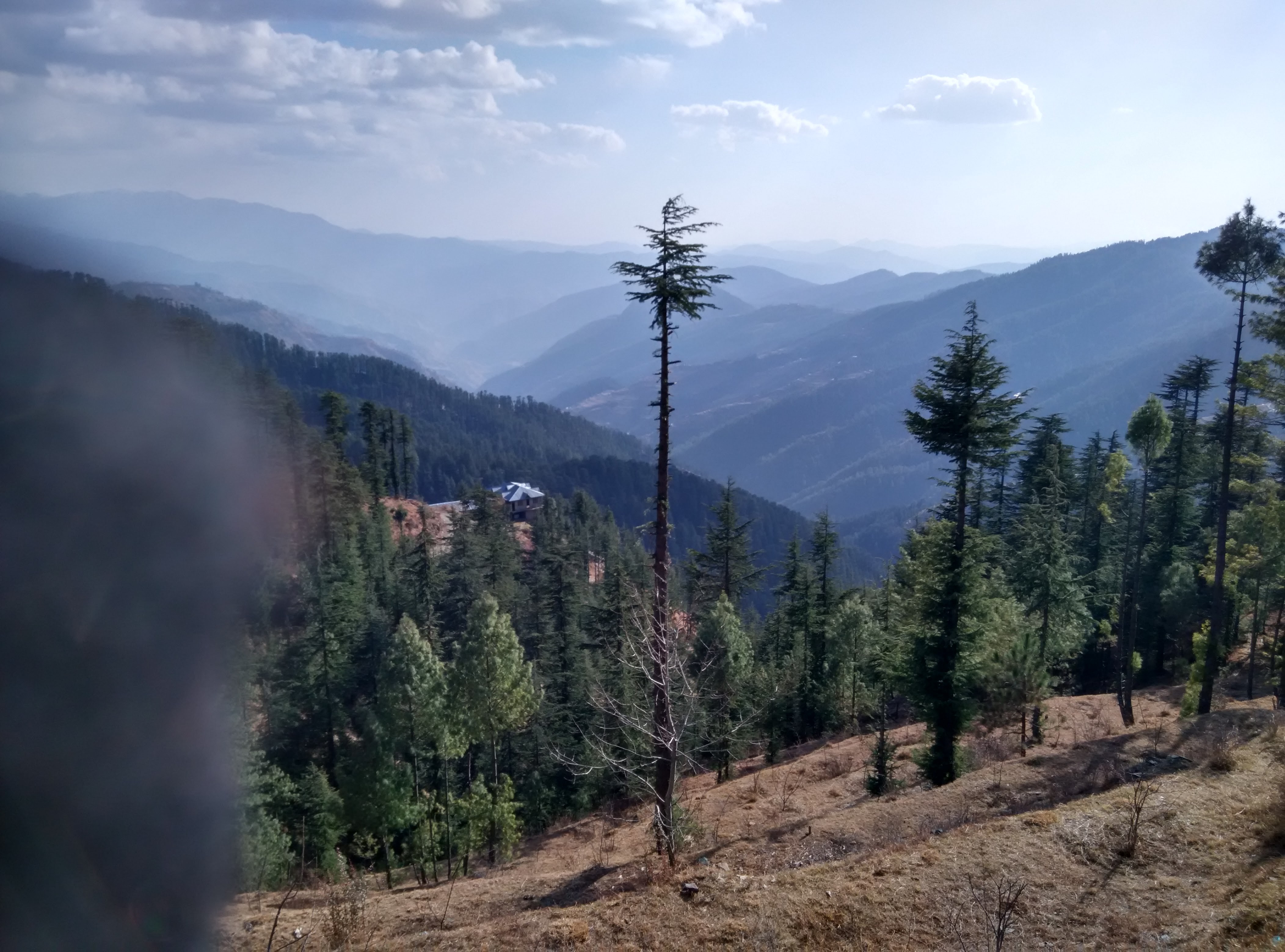 मलाना यात्रा की 5वीं कड़ी: एडवेंचर के शौकिनों को शिमला नहीं कुफरी से है मुहब्बत