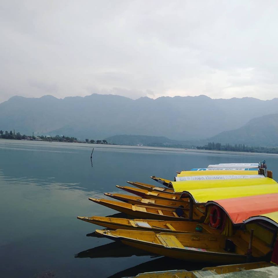 वो लड़की…जो लाल चौक पर झंडा फहराने नहीं, केक काटने गईं थी