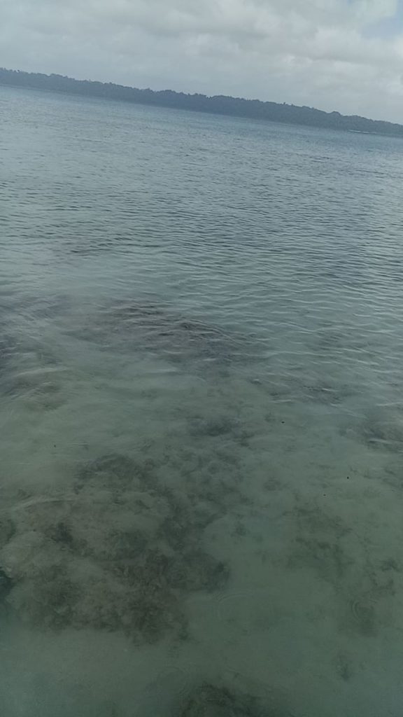 sea beach in andman
अंडमान निकोबार की यात्रा 