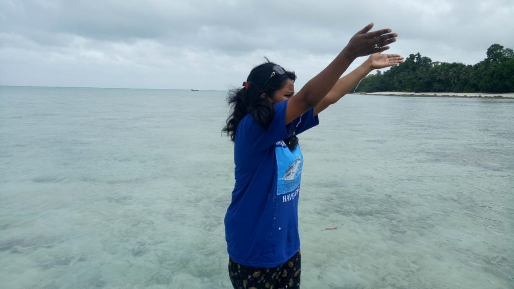 andman nikobar sea beach image, andman best photo, अंडमान निकोबार फोटो. अंडमान की खूबसूरती, 