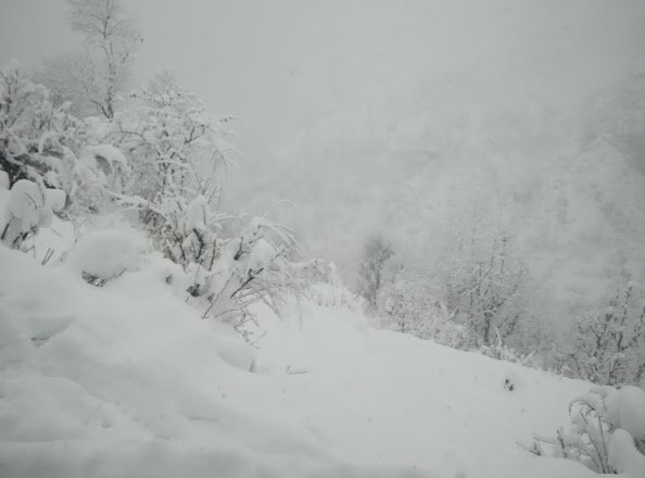 PART11: पहला प्यार से कम रोमांचक नहीं होता.. पहली बार बर्फबारी देखना