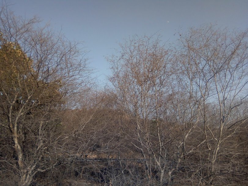 बाइक राइडिंग, भोपाल टू हैदराबाद, संतोष शाही ट्रैवलर, ट्रैवलिंग फोटोज. ट्रैवलर संतोष शाही, bike riding, road trip, bhopal to hyderabad, santosh shahi traveller, traveller santosh shahi