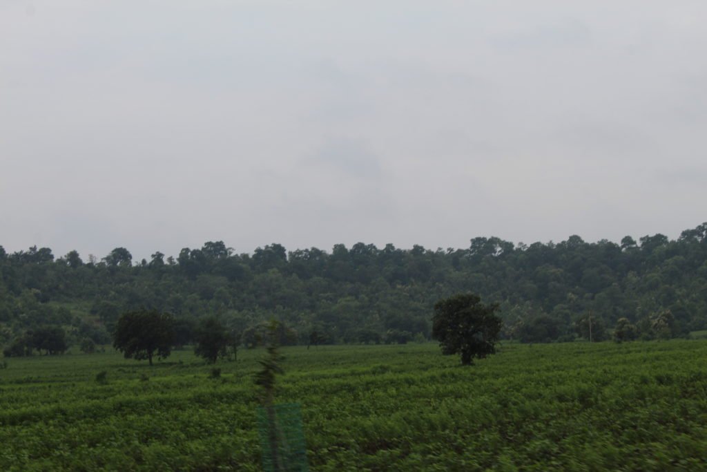 बस स्टैंड पहुंचते ही #KUNTALA के लिए बस मिल गई. अब, दोनों असली लक्ष्य की ओर निकले थे. बताया गया था कि बस से हाइवे पर #NEREDIGONDA उतर जाना है.
#adilabadtrip #adilabadforest #adilabadphotos #adilabadwaterfalls #travellingloverphoto #kuntalawaterfall #kuntalaintelangana 
#ADILABADSTATION #TRAVELLINGLOVERINADILABAD

