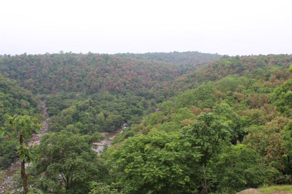 #adilabadtrip #adilabadforest #adilabadphotos #adilabadwaterfalls #travellingloverphoto 