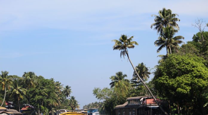 #God’sOwnCountry की खूबसूरत PHOTOS keral backwater